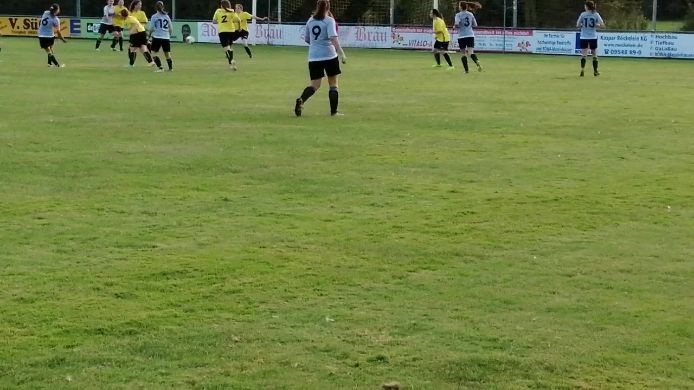 FC Thüngfeld - SG Diespeck/Baudenbach/Münchsteinach/Schauerheim, 0:2