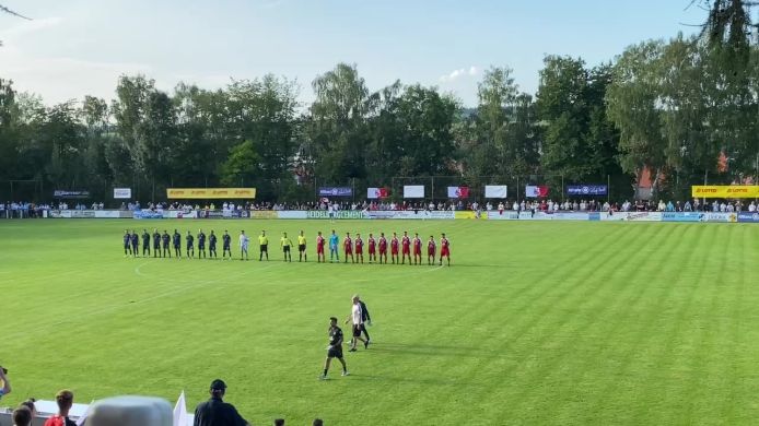 SV Birkenfeld - TSV 1860 München
