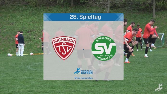 TSV Buchbach - SV Schalding-Heining, 1:1