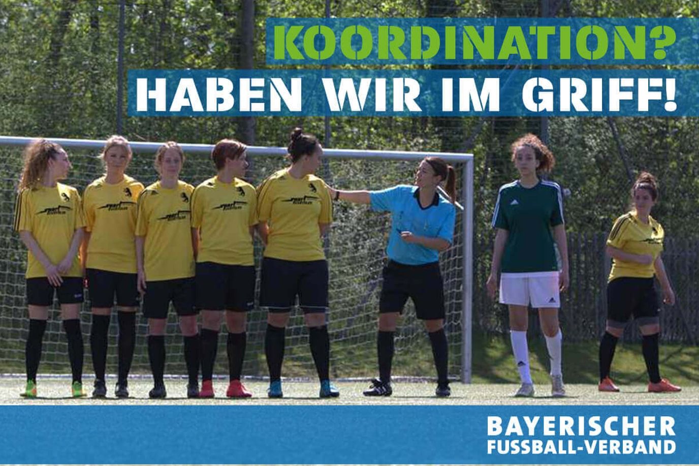 spielbetrieb-bfv